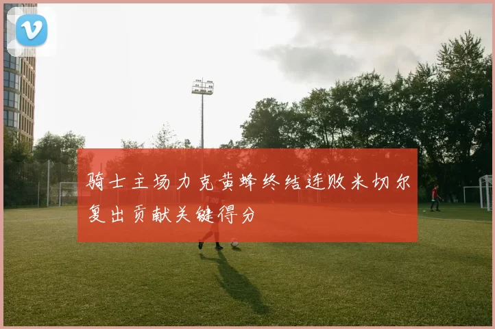 骑士主场力克黄蜂终结连败米切尔复出贡献关键得分