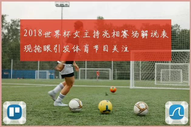 2018世界杯女主持亮相赛场解说表现抢眼引发体育节目关注