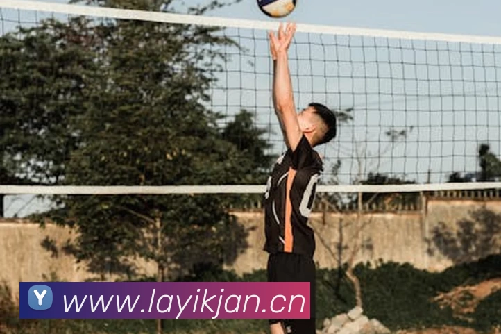 leyu·乐鱼(中国)体育官方网站 - Leyu Sports平台生态图